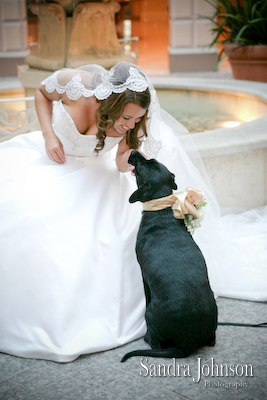 Best Portofino Bay Hotel Wedding Photos - Sandra Johnson (SJFoto.com)